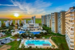 1600152286-5f6062de06dcc1.24970761