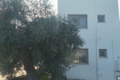 WhatsApp-Image-2022-12-09-at-14.12.06-1