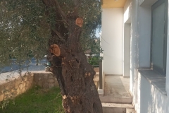 WhatsApp-Image-2022-12-09-at-14.12.07-1